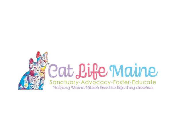 Cat Life Maine Shop